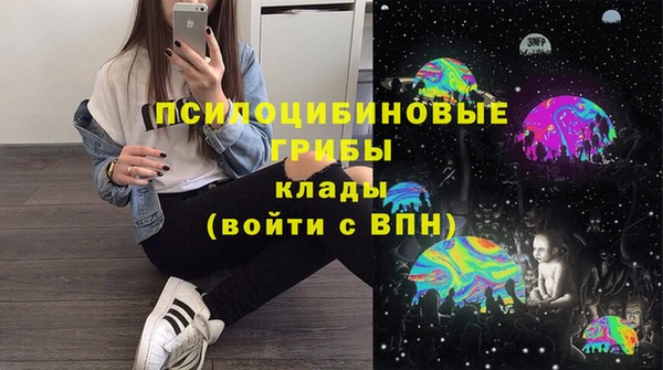 первитин Каменка
