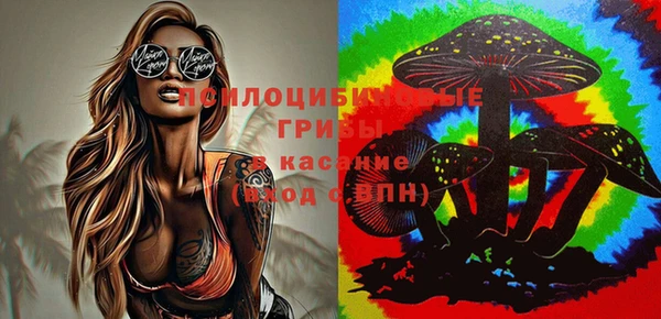 винт Каменногорск