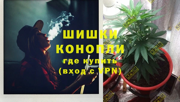 первитин Каменка