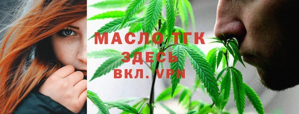 первитин Каменка