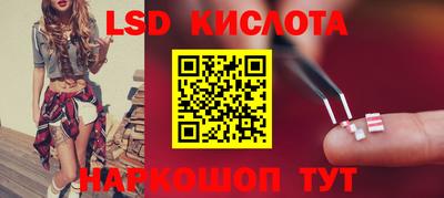прущие грибы Лесосибирск