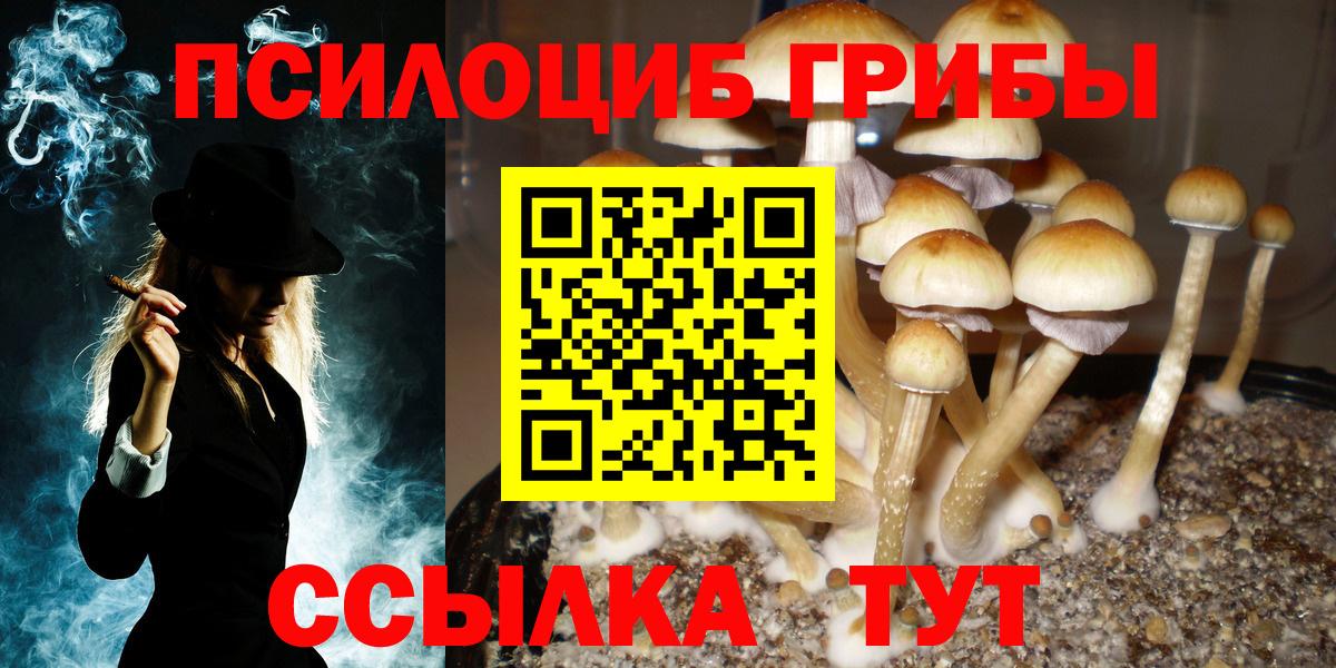 Нижнеудинск  дарнет шоп  Вход с VPN  Псилоцибиновые грибы MAGIC MUSHROOMS 