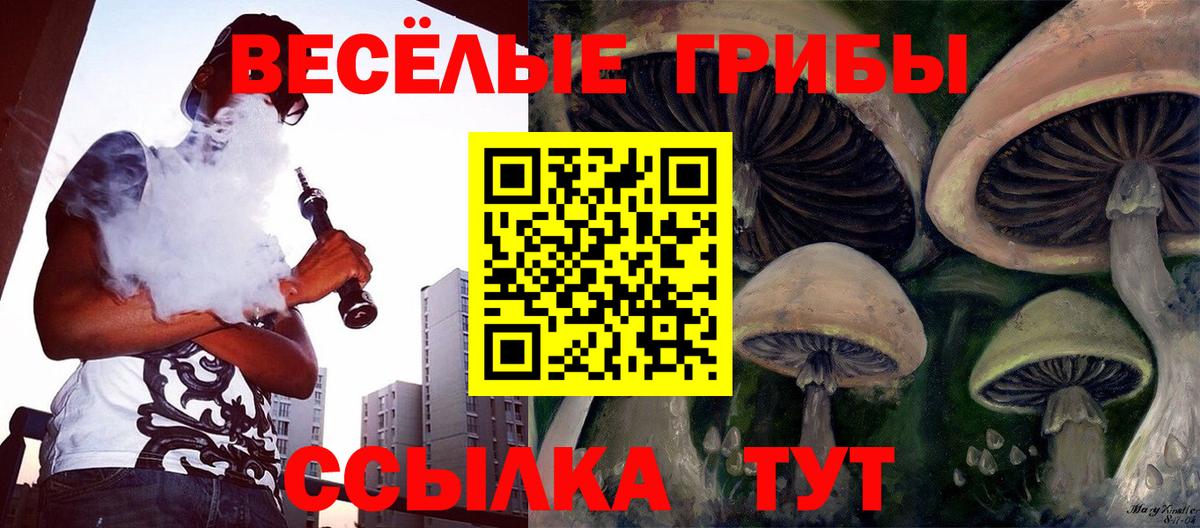 Псилоцибиновые грибы Psilocybine cubensis Нижнеудинск