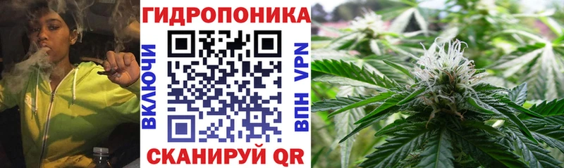 OMG зеркало  хочу   Нижнеудинск  Каннабис SATIVA & INDICA 
